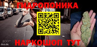 мдпв Татарск